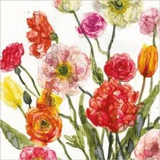 Ranunculus & Poppies