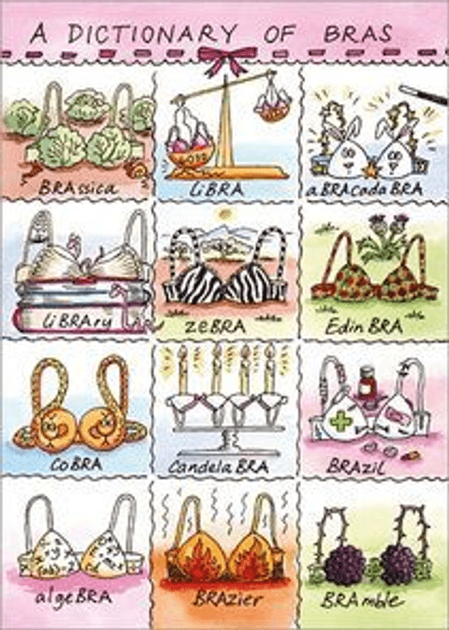 A Dictionary of Bras B023