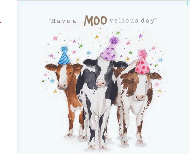 Moovelous Birthday A024