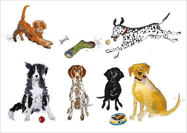 DOG LINE UP B009