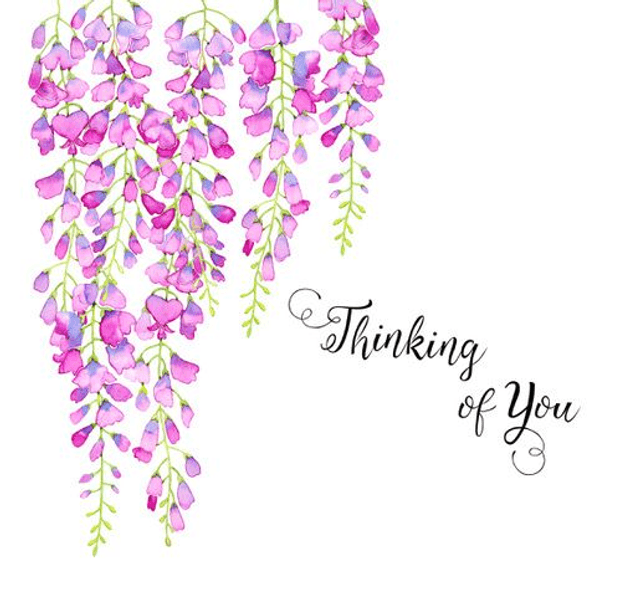 Thinking of You Wisteria A030