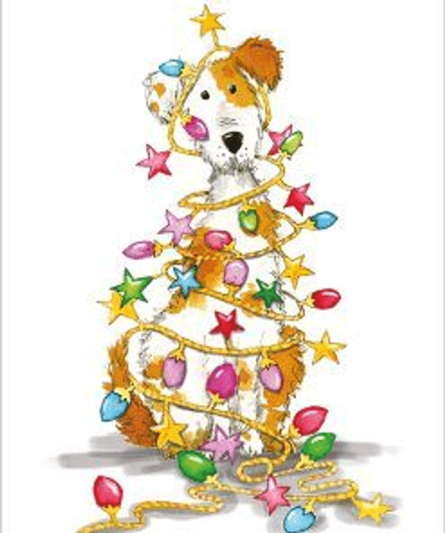 XCB03 Fairy Lights - Pack of 8 Charity Cards