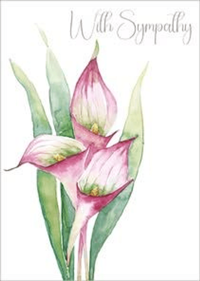 Calla Lily B029