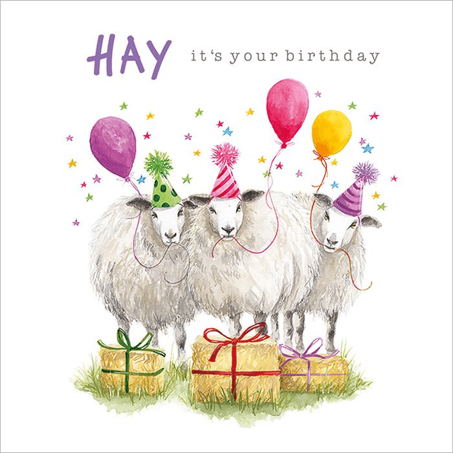 HAY ITS YOUR BIRTHDAY A023