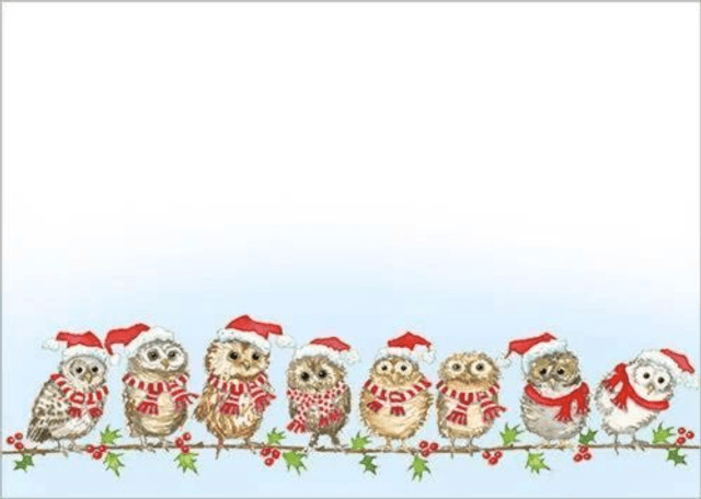 X XNC01 Christmas Owlets