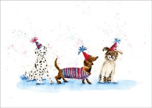 Party Dogs B030